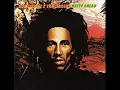 Bob Marley and the Wailers: them belly full lyrics