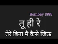 Tu Hi Re Hindi by PK