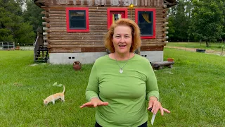 How to Keep Your Homestead Organized with Zones