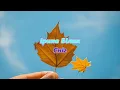 Ірина Білик - Сніг (лірик відео) 4К