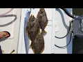 Indian River Inlet Boat trip for Flounder