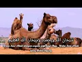 SUBHANALLAH WA BIHAMDIHI SUBHANALLAHIL ADZIM - copy paste