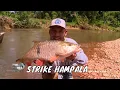 Download Lagu Sensasi Sambaran Predator Arus Deras Hulu Kapuas | MANCING MANIA STRIKE BACK (27/07/25) Part 1