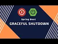 Graceful Shutdown is Spring Boot along with PreDestroy Tech Primers