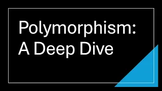 Polymorphism A Deep Dive Part 1 The Breakdown
