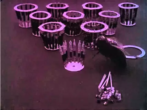 Золотой паук / L'araignée d'or / 1908