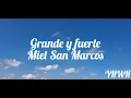 Grande y Fuerte - Miel San Marcos