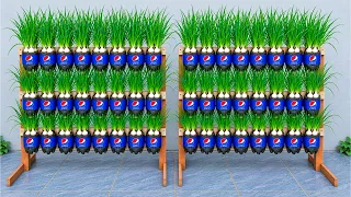 Vertical Garden Ideas Using Plastic Bottles – Grow Fresh Green Onions, Garlic Chives All Year Round