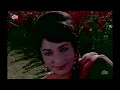 Ai Phulon Ki Raani Bahaaron Ki Malikaa 4K Song | Arzoo (1965) | Mohd.Rafi | Rajendra Kumar, Sadhana