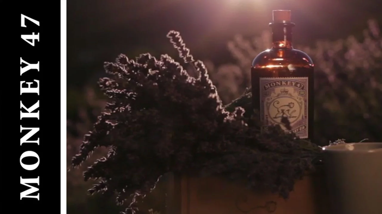 Welcome to "Wunderbar Adventures of Sophistication!": Episode 4: The Fields of Purple – PROVENCE