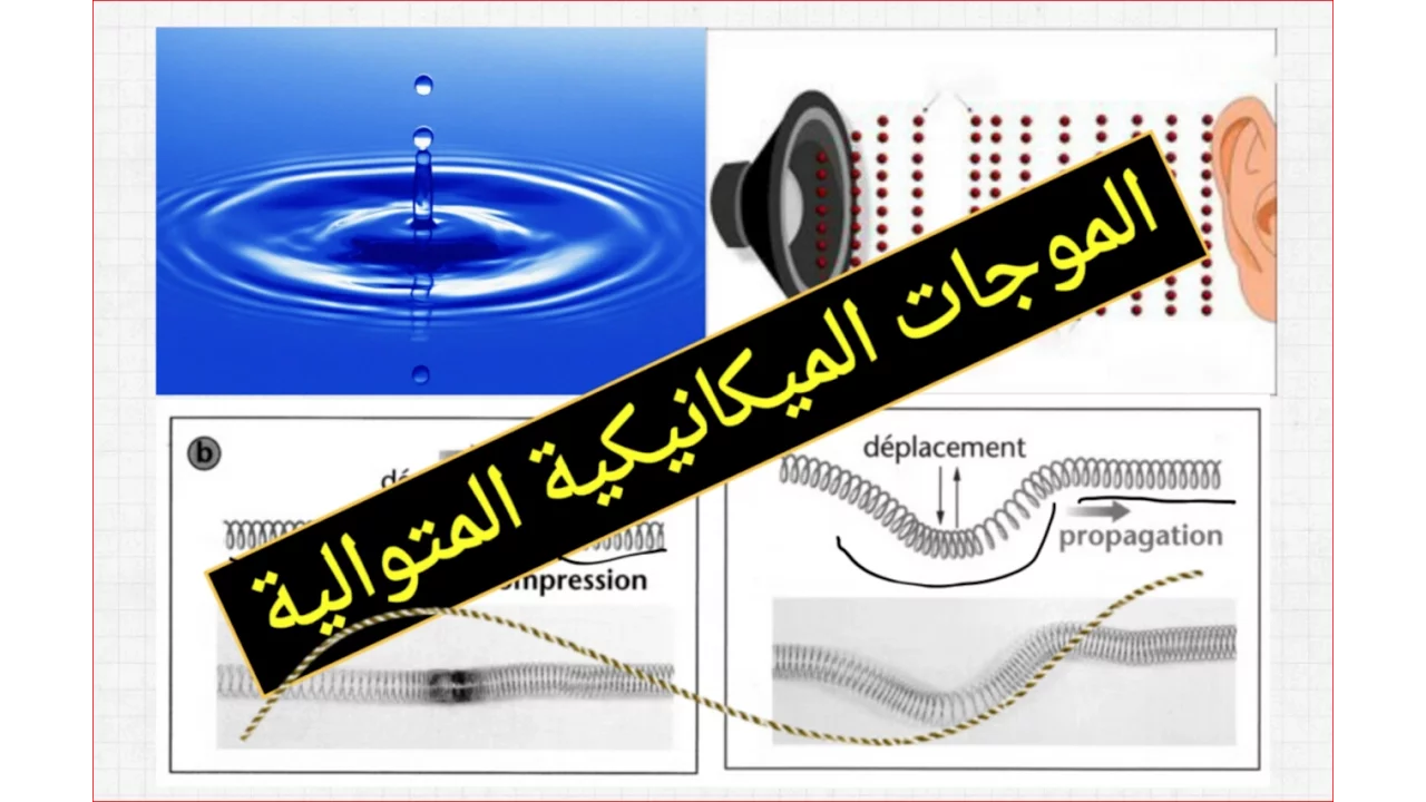 أسهل طريقة لفهم الموجات الميكانيكية المتوالية [جزء1] أول درس في الثانية باك