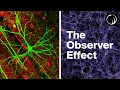 Weird Things Begin to Happen When You Examine Consciousness