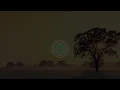 Tycho - See