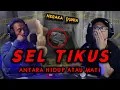 Download Lagu 🔴 BETAPA KEJAMNYA SEL TIKUS, SAMPE TIDUR DENGAN KOTORAN SENDIRI ❗❗