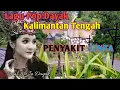 Download Lagu lagu dayak. Penyakit Cinta. Lagu Dayak Kalimantan Tengah. #rural_life_in_dayak