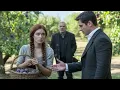 Download Lagu Concediată de la culesul de prune… dar un avocat milionar i-a spus: „De azi, lucrezi la mine.”