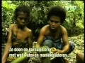 The lives of indigenous people of Maluku, on the island of Seram.