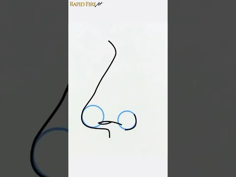How to Draw a Realistic Nose (Side View) for Beginners
