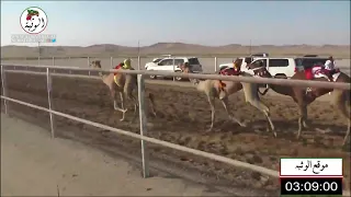 الشوط 7 انذار لـ سيف معيوف سالم الدرعي 4 32 0 شارة الاتحاد 2021 10 14 الرقيعات حقايق 