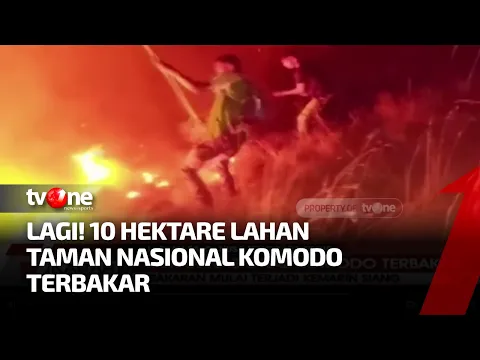 Diperkirakan 10 Hektar Taman Nasional Komodo Hangus Terbakar