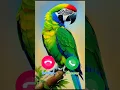 Download Lagu #ringtone #smartphone #music #ringtones
