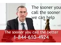 Best Pedestrian Accident Attorney in Cedar Rapids 1-844-610-4924