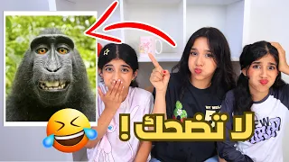 اتحداك ما تضحك بالفيديو هذا عقاب لخسران شفا  اتحداك ما تضحك بالفيديو هذا عقاب لخسران شفا