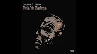 afronerd feat teejay pula ya medupe