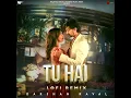 Tu Hai (Lofi Remix) - Darshan Raval, Prakriti Giri & Trosk