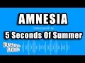 Download Lagu 5 Seconds of Summer - Amnesia (Karaoke Version)