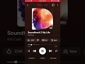 Soundtrack 2 my life - Kid Cudi