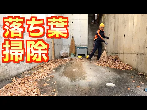 3300円/10㎡〜落ち葉お掃除！駐車場、雨樋、側溝、池、マンション定期清掃に！