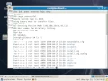 Configuring FTP Server vsftpd with authenticated user