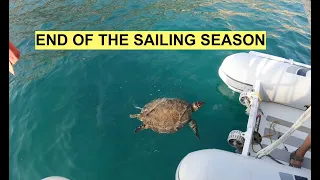 The Last Leg (Part 2)  Finished another year. We meet a 3 fin turtle, Dolphins. A Ship High and Dry?