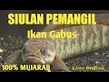 Download Lagu MP3 SIULAN PEMIKAT IKAN GABUS