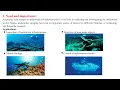 124 Underwater Image Enhancement using Color Balance and Image Fusion via Gamma Correction