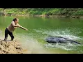Download Lagu FULL VIDEO: 5 Episodes Fishing Skills - Girl uses traditional fishing techniques to catch giant carp