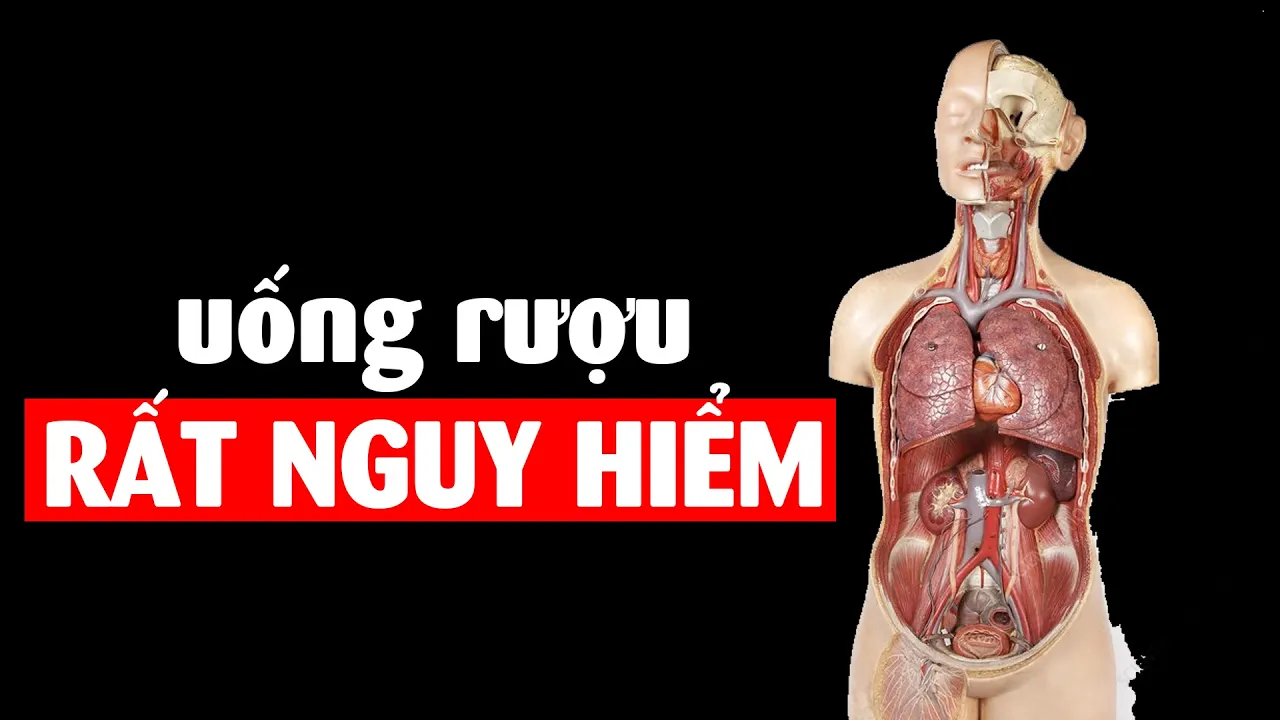 Outline Video Bạn sẽ sợ rượu sau khi xem video này
