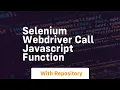 selenium webdriver call javascript function