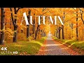 Download Lagu 🌿 Beautiful Autumn Piano Music – Gentle Relaxing Tunes for Healing, Focus \u0026 Deep Relaxation
