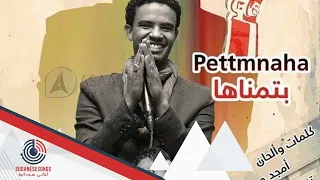 حسين الصادق  بتمناها دندنها