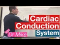 Download Lagu Cardiac Conduction System | Cardiology