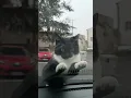 Bro came out of nowhere like car coliision