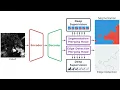 HED-UNet A Multi-Scale Framework for Simultaneous Segmentation and Edge Detection