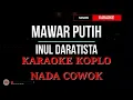 Download Lagu INUL DARATISTA - MAWAR PUTIH KARAOKE KOPLO NADA COWOK VERSI ADELLA