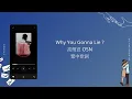 Why You Gonna Lie - OSN 高爾宣 繁中歌詞