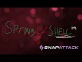 Spring4Shell CVE-2022-22965 Threat SnapShot