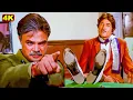 Download Lagu हम अपने हुक्म के खुद मालिक है और अपने हुक्म से अन्दर आये है | Raj Kumar | Jabardast Climax Scene