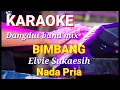 Download Lagu BIMBANG - Elvie Sukaesih | Karaoke dut band mix nada pria | Lirik