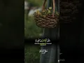 Download Lagu First Ayah Revealed to Prophet | Surah Al-Alaq #shortsfeed #shorts